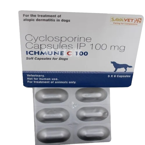 Ichmune C 100 Pet Capsule (Ciclosporin 100mg) – 6 pills pack