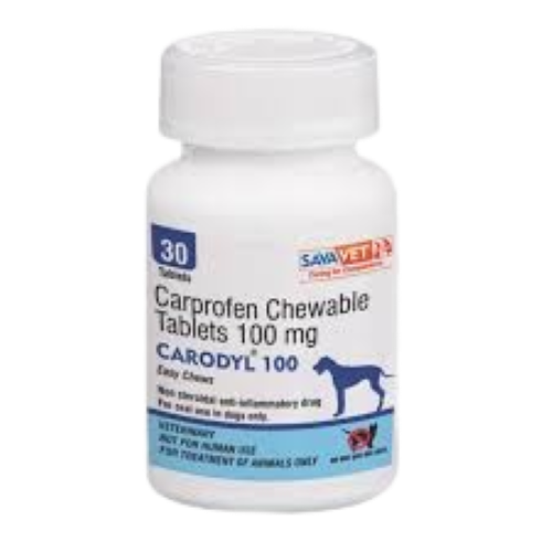 Carodyl 100 Chewable Tablets – bottle of 30 tablets