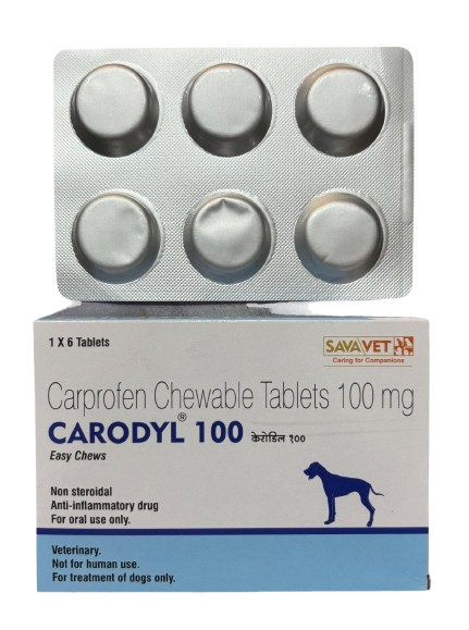 Carodyl 100 (Carprofen) Tablets for Dogs – pack of 6 tablets