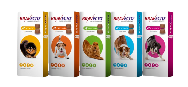 Bravecto Chewable Tablet for Dogs (Fluralaner) – 1 tablet pack