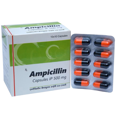 Ampicillin Capsule – Ampicillin (500mg)