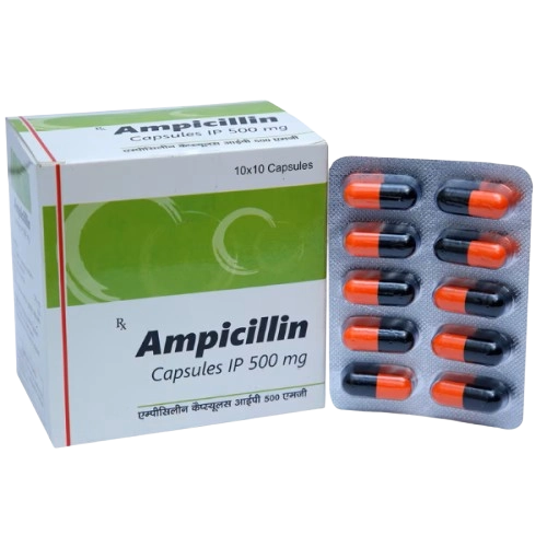 Ampicillin Capsule – Ampicillin (500mg)