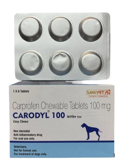 Carodyl 100 (Carprofen) Tablets for Dogs – pack of 6 tablets