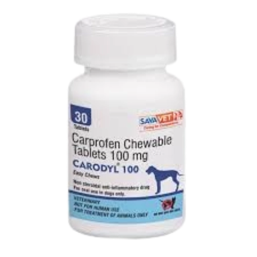 Carodyl 100 Chewable Tablets – bottle of 30 tablets