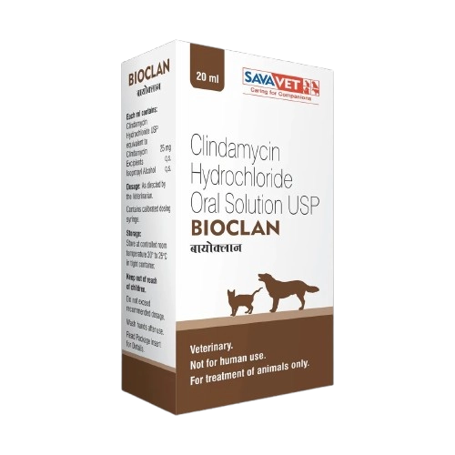 Clindamycin Hydrochloride Oral Solution for Dogs and Cats – 20ml